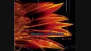 Monica Schroeder - Poison (DJ RAM Remix).wmv