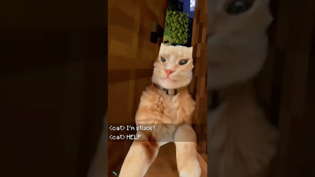 おもしろ猫 #マイクラ #minecraft