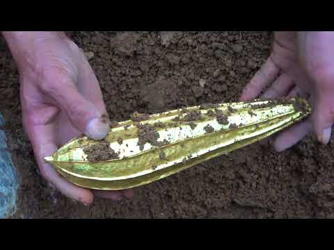 I broke into the cave to look for treasure and found a giant dragon and dragon bead treasure