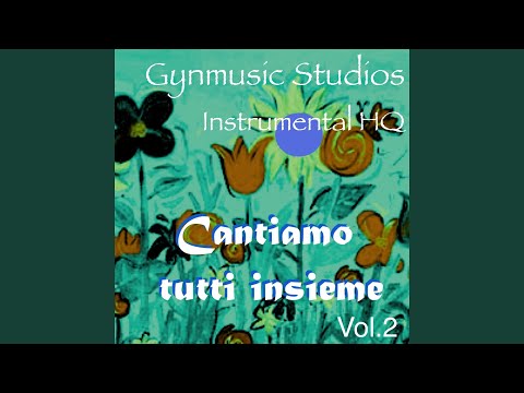 Il cuoco pasticcione (Karaoke Version) (Originally perfomed by Federica Colucci)