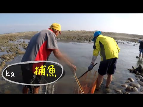 746 Montanhas e Mares Cem Dicionário de Arte《Condado de Miaoli Holongzhen-Shihu Edição de Peixe Capturado》promoção