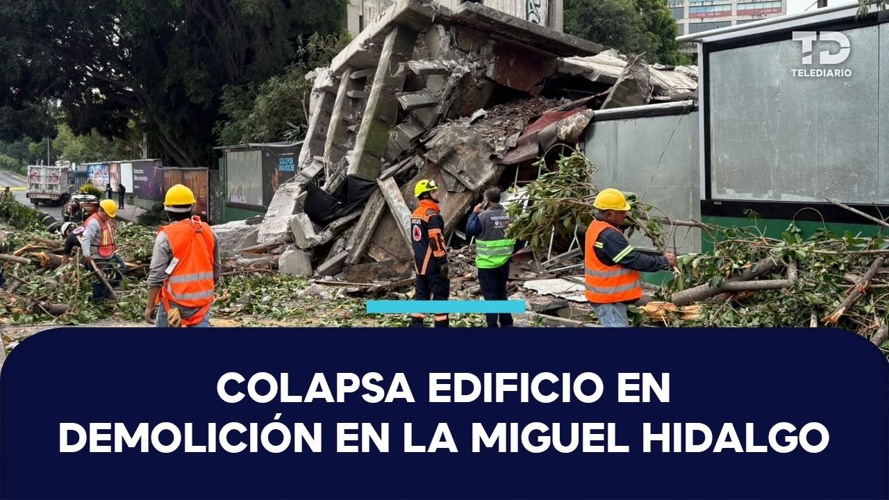 Árbol cae y derrumba edificio en Viaducto Miguel Alemán, CdMx; autoridades retiran escombros