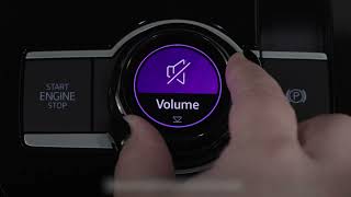 Volkswagen Driving Experience Dial