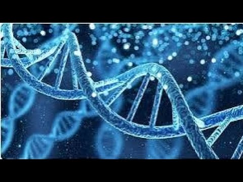 NUCLEOTIDE METABOLISM (PART 2)