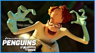 The Penguins get Revenge on Dave | DreamWorks Madagascar