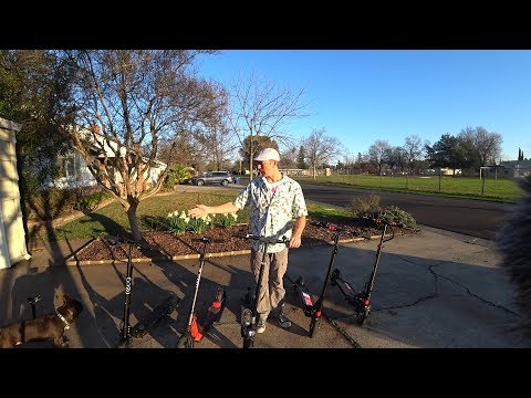 Zoom Stryder, EcoReco S5, Glion Dolly, Zero 8 and Zero 9 Comparison!