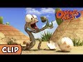 Oscar S Oasis Baby Lizard HQ Funny Cartoons