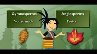 Scholastic - Study Jams - Gymnosperms