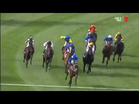 Winx  wins the 2016 Cox Plate at Moonee Valley Racecourse