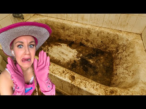 My Son sleeps in a Room Full of Roaches