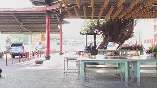 靜靜的吃塊平安糖喝口平安水