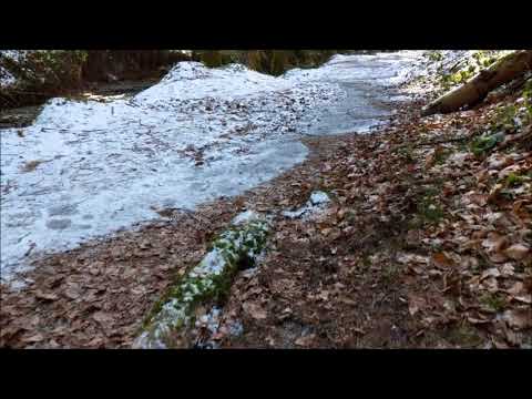 Wieslauftal   2018 02 24