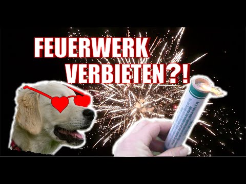 FEUERWERK ZUM WOHL DER TIERE VERBIETEN?! | Pyro Special