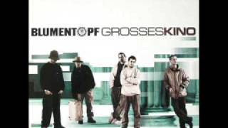 Blumentopf - Quintessenz