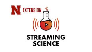 Streaming Science Electronic Field Trip: Sun Rays and Windy Days