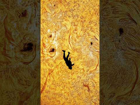 Black Gryph0n and Cosmic Background Studios