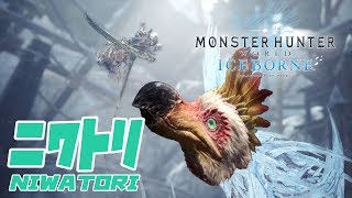 【＃８】イヴェルカーナってニワトリみたいじゃない？【MHW：IB】