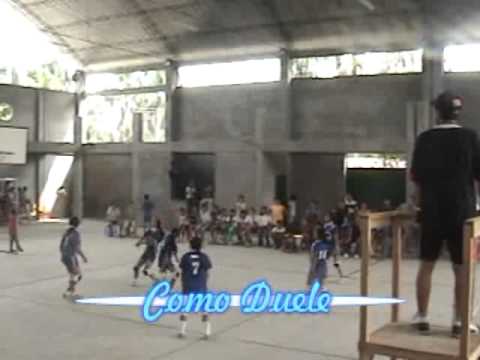 FINAL DE VOLEY.flv
