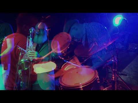 Kungens Män - Fuzz På Svenska out on Adansonia Records