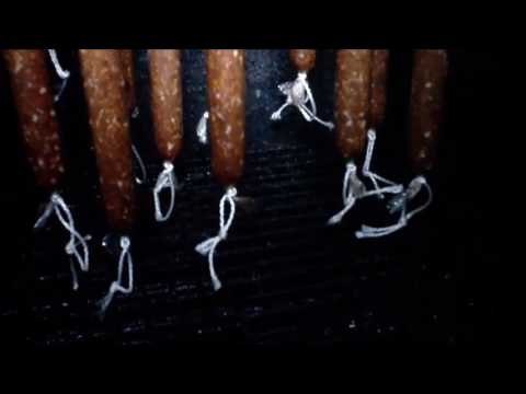 Wurst selber machen - Schinkenjäger (Landjäger) im Schäldarm