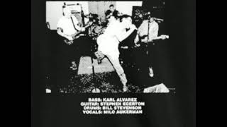 Descendents She loves Me