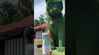 Download lagu This cat is really alive!#funny#cats#catvideos#tiktok#social#usafunny#catlovers#funpage mp3 Download lagu This cat is really alive!#funny#cats#catvideos#tiktok#social#usafunny#catlovers#funpage mp3