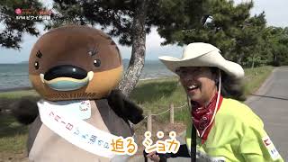 2026/6/16放送・知ったかぶりカイツブリにゅーす