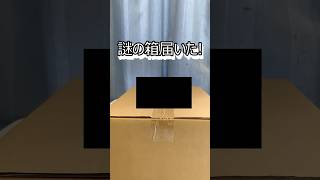 HOSHIMACHI SUISEI ONLINE STOREから謎の箱が届いた