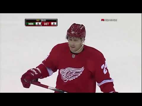 NHL   Nov.19/2010   Minnesota Wild - Detroit Red Wings