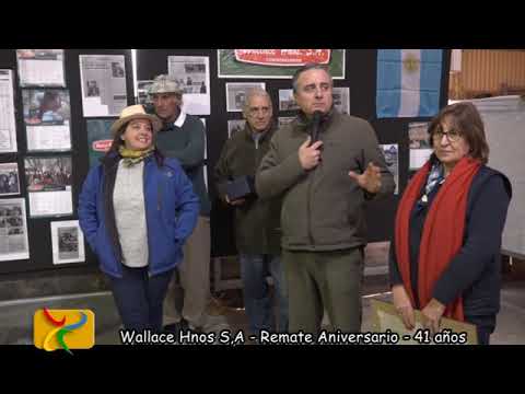 Wallace hnos S A - Remate Aniversario -  41 años