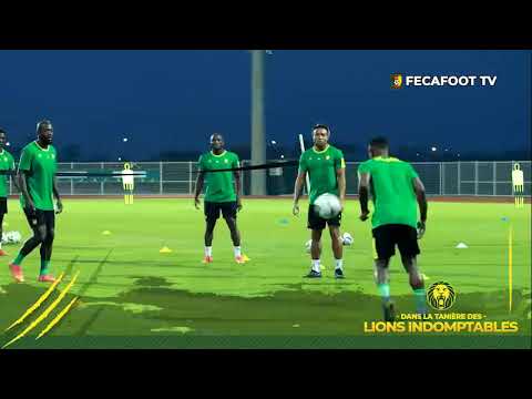Cap Vert Vs Cameroun : Séance d'entraînement des Lions Indomptables de veille de match