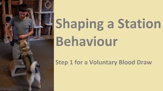 Shaping a Station Behaviour for Voluntary Blood Sample