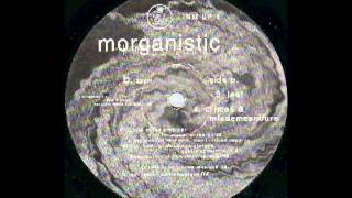 MORGANISTIC - Leaf   ( Fluids Amniotic [ Input Neuron Musique ] )