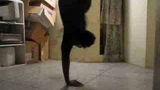 Breakdance Video