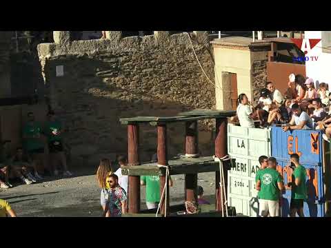 Festejos taurinos en directo