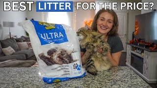 Dr. Elsey’s Cat Litter Review | Best Affordable Cat Litter