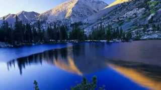 gary moore & drowning in tears