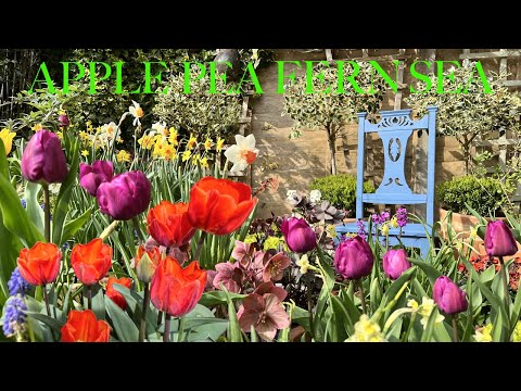 Colourful & Uplifting April Garden Tour of Containers | Small Space, Big Flower Dreams & Spring Joy!