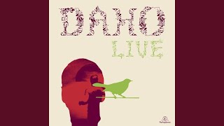 Jungle Pulse (Live 2001)