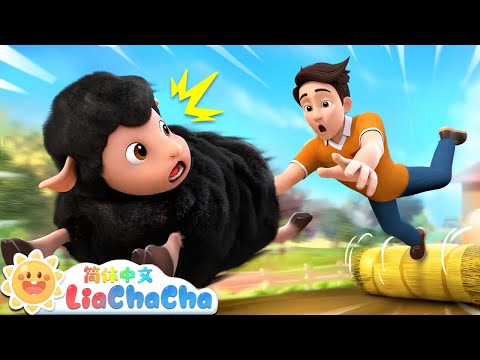 剪羊毛🐑 | 小羊跑走了 | 宝宝在农场玩 | 幼儿启蒙 | 中文儿歌 | 人气童谣 | LiaChaCha 依娜和恰恰 - 简体中文 - 儿歌童谣