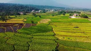 September 29th - Finisher of the Work