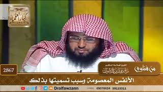 [2867] الأنفس المعصومة وسبب تسميتها بذلك - صالح الفوزان