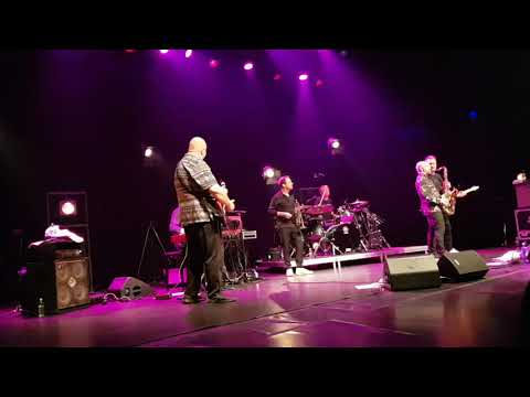 Mezzoforte live 2019