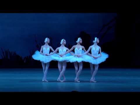 Танец маленьких лебедей ( Dance of the little swans from Swan Lake)