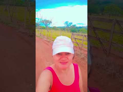 Caminhada sertaneja Comunidade Santa Rita município Vianópolis Goiás Brasil