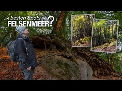 Location Scouting im Felsenmeer | Landschaftsfotografie im Odenwald