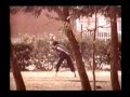 Fists Of Fire Shaw Brothers Documentary
