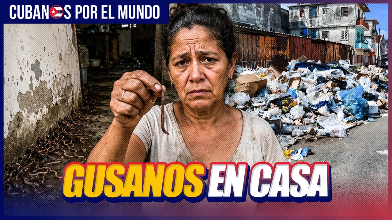 Basura en Atarés provoca plaga de gusanos en viviendas