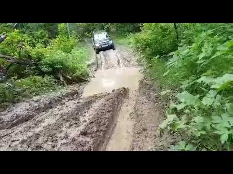 Mitsubishi pajero IV short