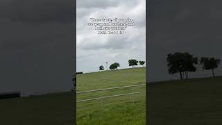 Matthew 11:28 Trust in God